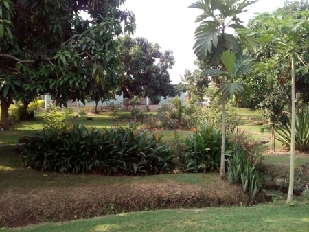tuin huis Golokuati